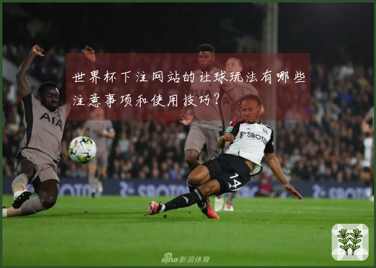 世界杯下注网站的让球玩法有哪些注意事项和使用技巧？