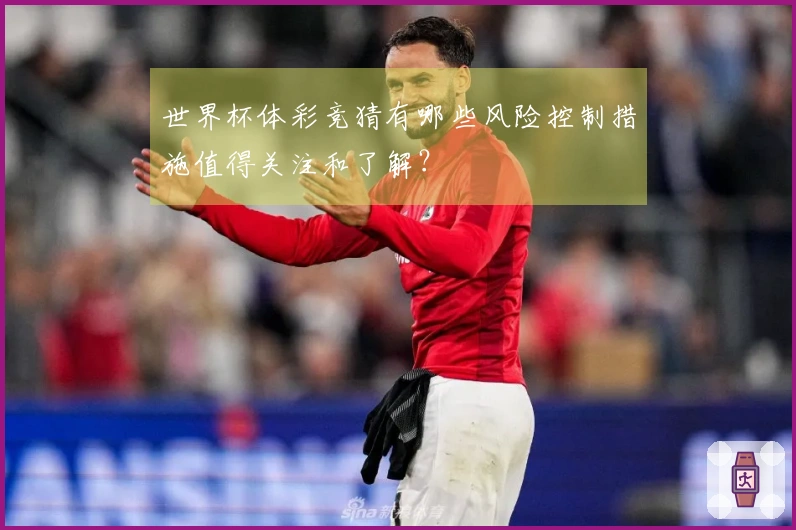世界杯体彩竞猜有哪些风险控制措施值得关注和了解？