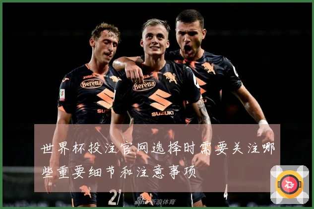 世界杯投注官网选择时需要关注哪些重要细节和注意事项